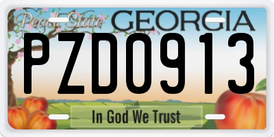 GA license plate PZD0913
