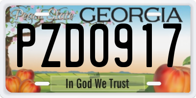 GA license plate PZD0917