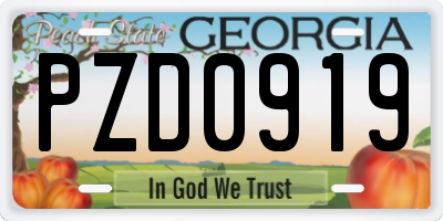 GA license plate PZD0919