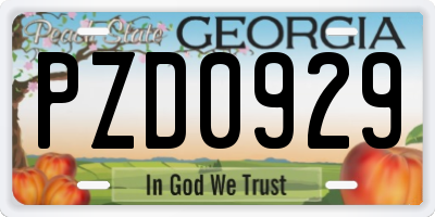 GA license plate PZD0929