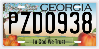 GA license plate PZD0938