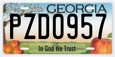 GA license plate PZD0957