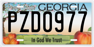 GA license plate PZD0977