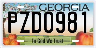 GA license plate PZD0981