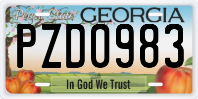 GA license plate PZD0983