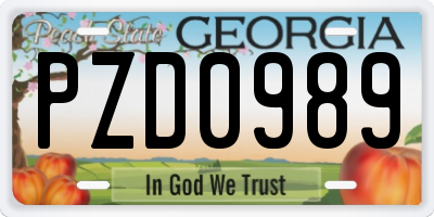 GA license plate PZD0989