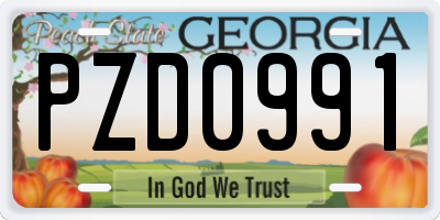 GA license plate PZD0991