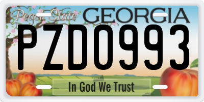 GA license plate PZD0993