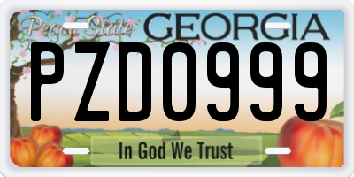 GA license plate PZD0999