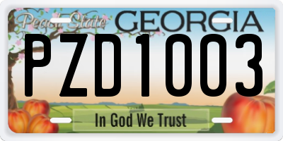 GA license plate PZD1003