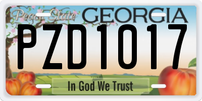 GA license plate PZD1017