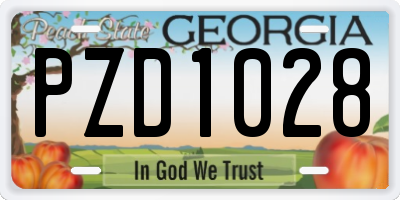 GA license plate PZD1028