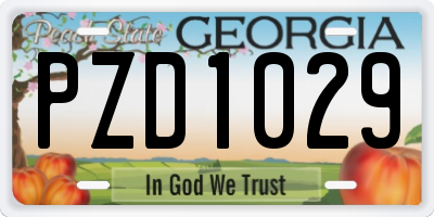 GA license plate PZD1029