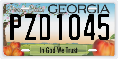 GA license plate PZD1045