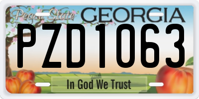 GA license plate PZD1063