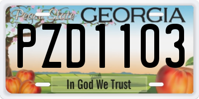 GA license plate PZD1103