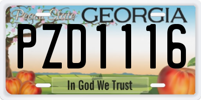 GA license plate PZD1116