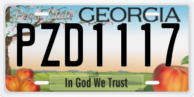 GA license plate PZD1117