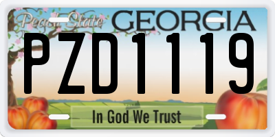 GA license plate PZD1119
