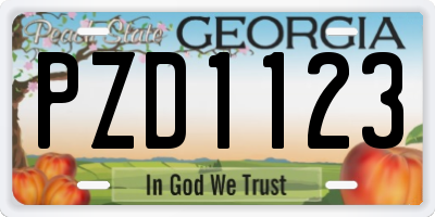 GA license plate PZD1123