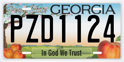 GA license plate PZD1124