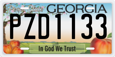GA license plate PZD1133