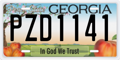 GA license plate PZD1141