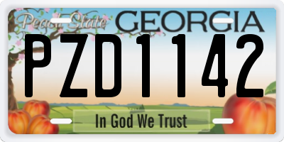 GA license plate PZD1142
