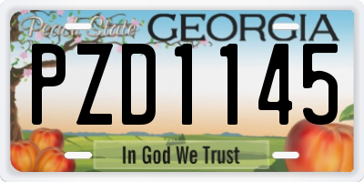 GA license plate PZD1145