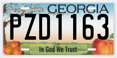 GA license plate PZD1163