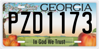 GA license plate PZD1173