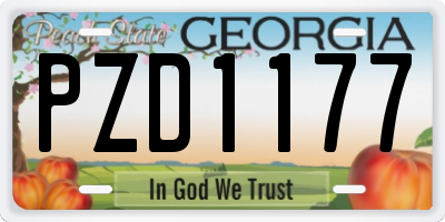 GA license plate PZD1177