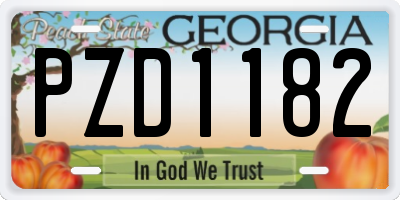 GA license plate PZD1182