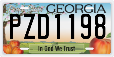 GA license plate PZD1198
