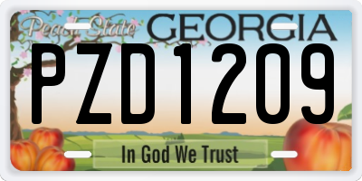 GA license plate PZD1209