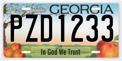 GA license plate PZD1233