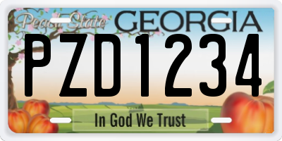 GA license plate PZD1234