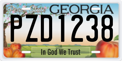 GA license plate PZD1238