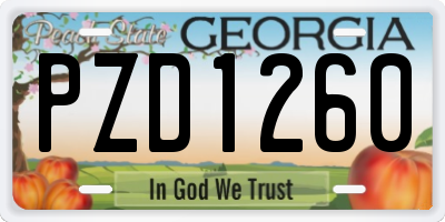 GA license plate PZD1260