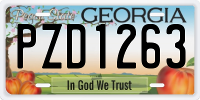GA license plate PZD1263