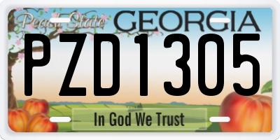 GA license plate PZD1305