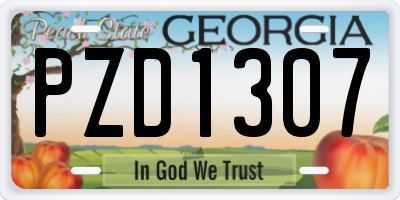 GA license plate PZD1307