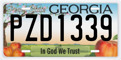 GA license plate PZD1339