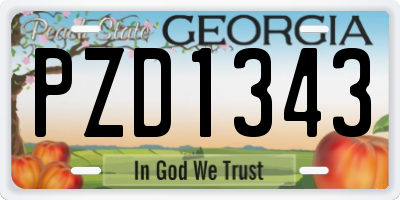 GA license plate PZD1343