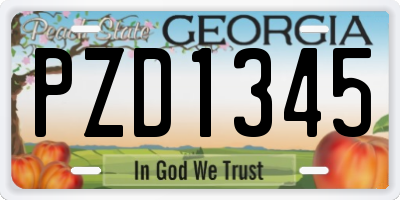 GA license plate PZD1345