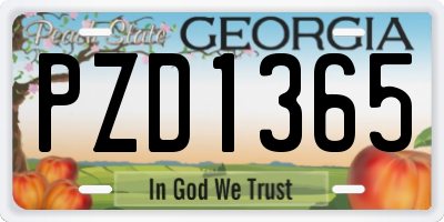GA license plate PZD1365