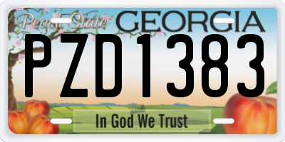 GA license plate PZD1383