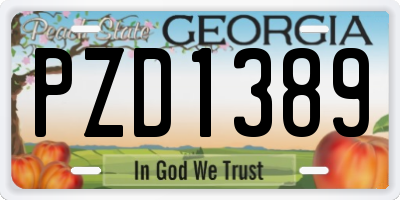 GA license plate PZD1389