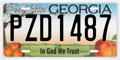 GA license plate PZD1487