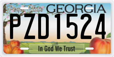 GA license plate PZD1524
